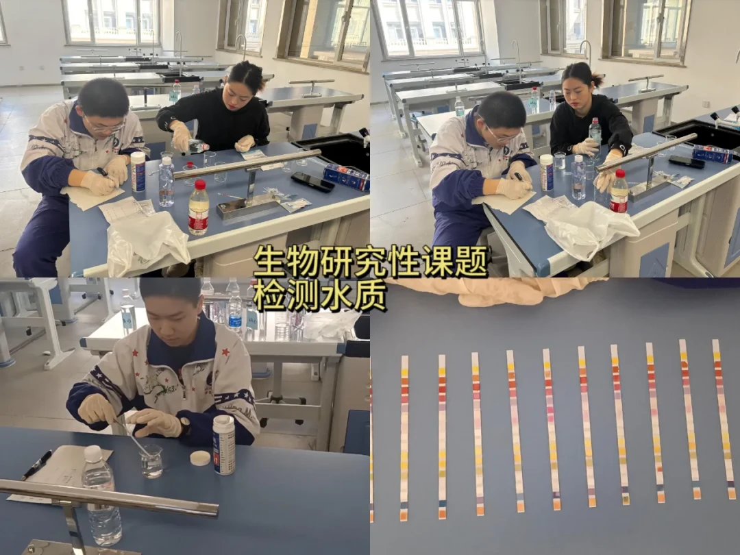 篮球训练脚步垫子_2